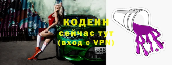 хмурый Абаза