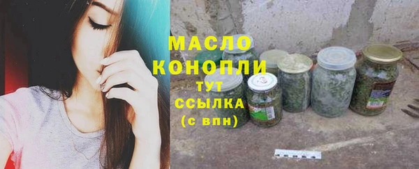 хмурый Абаза