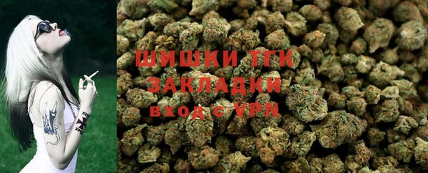 хмурый Абаза