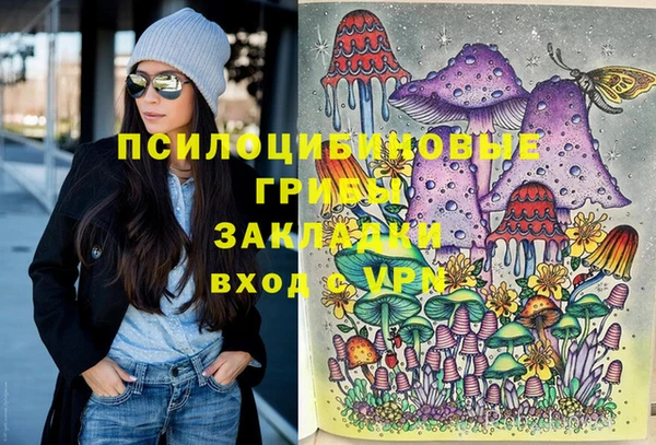 герыч Алзамай