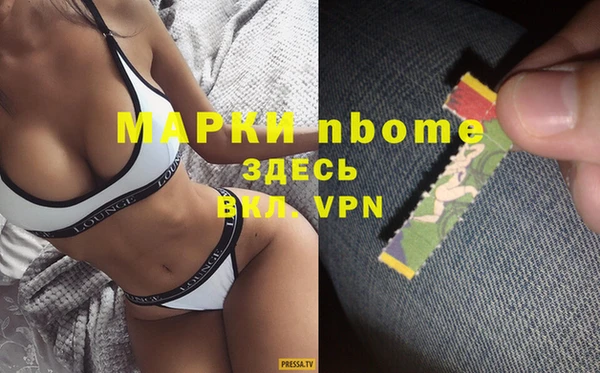 хмурый Абаза